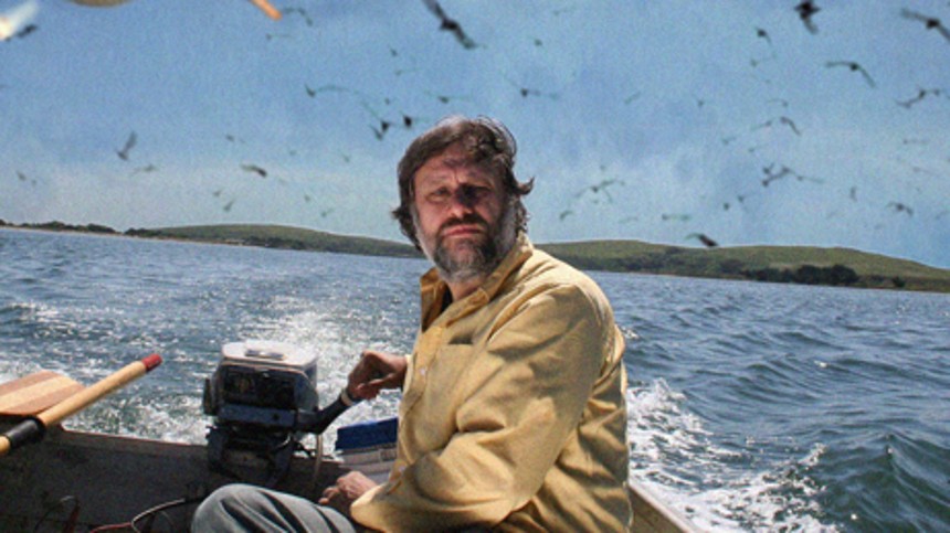 En pervers guide til film