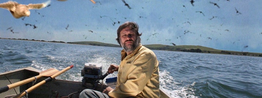 En pervers guide til film