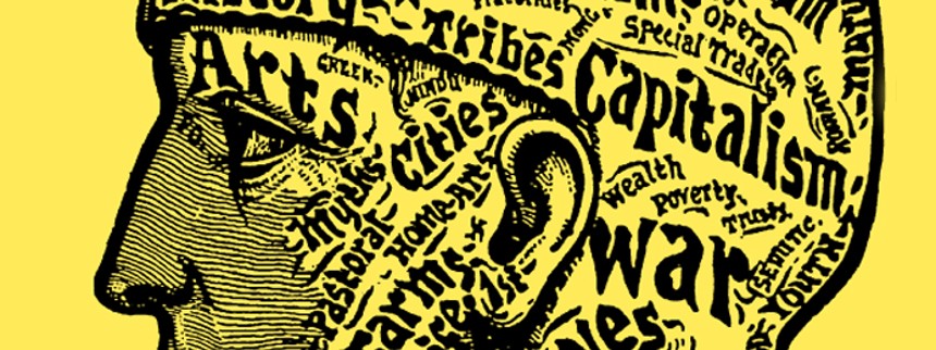 Når hjernen går i biografen