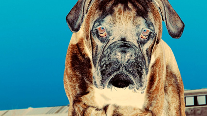 Tyve musikvideoer i biografen