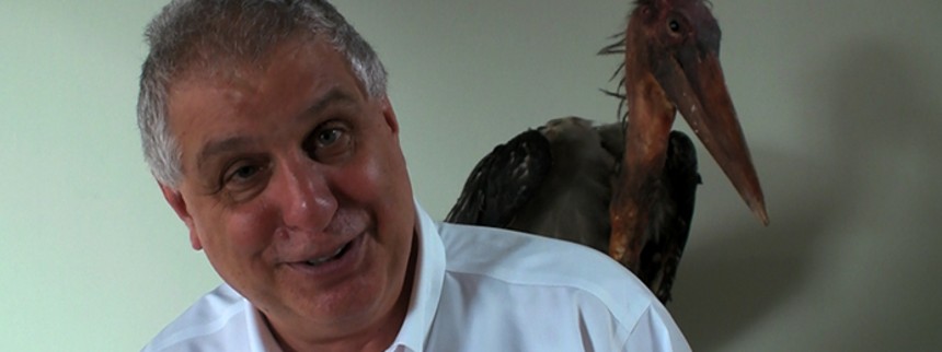 Do­ku­men­tar­fil­mens filosofiske snushane