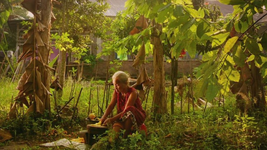 Stjer­ne­ba­ro­me­ter: Oppenheimer løber med prisen