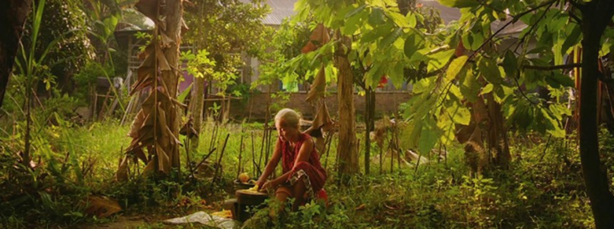 Stjer­ne­ba­ro­me­ter: Oppenheimer løber med prisen