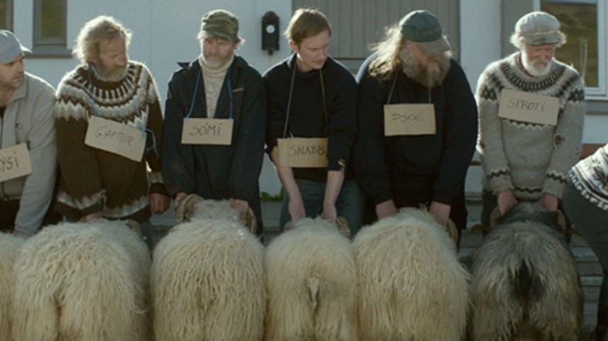 Stor pris til islandsk film i Cannes