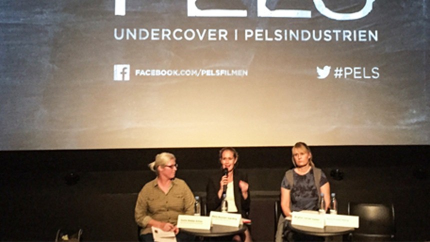 Pelsgigant udeblev fra debataften