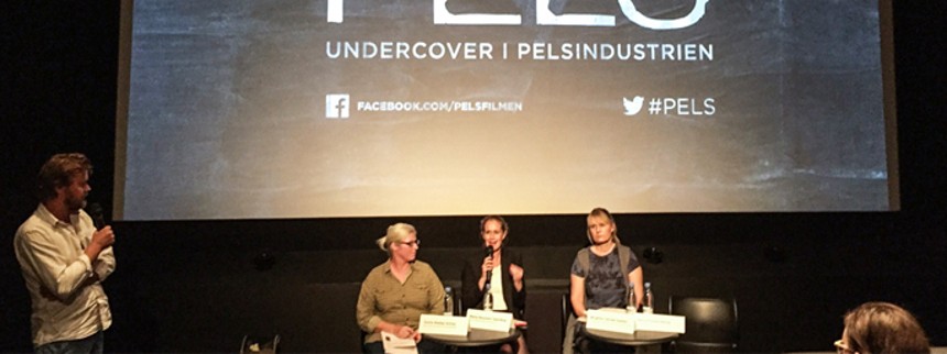 Pelsgigant udeblev fra debataften