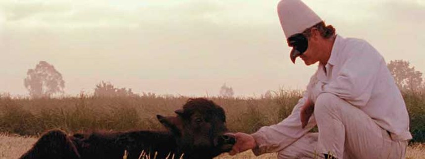 Hvem vinder Dox:Award?