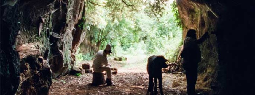 Tæt løb om Dox:Award-prisen