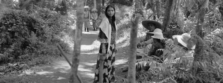 Tisseture i gallakjoler