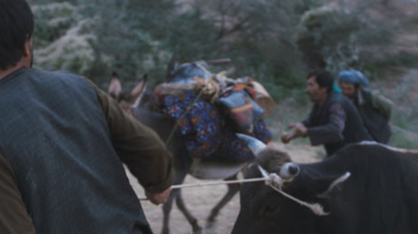 Dansk film vinder stor pris i Cannes