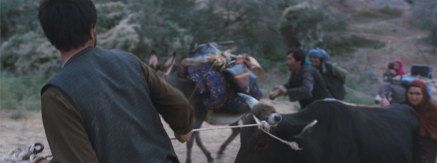 Dansk film vinder stor pris i Cannes