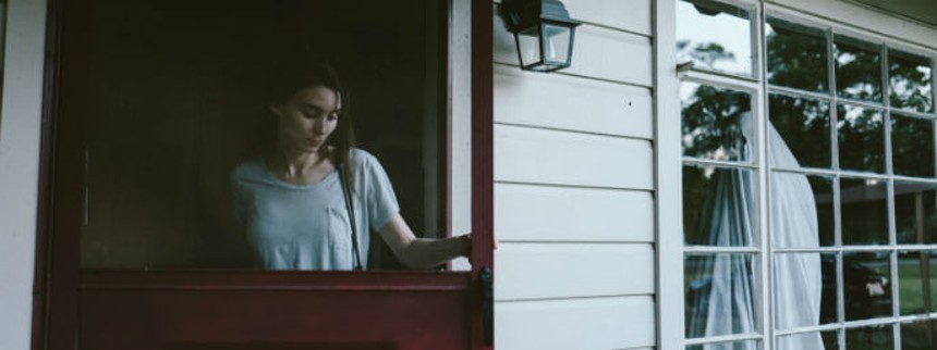 Gensyn med Pix-favoritter