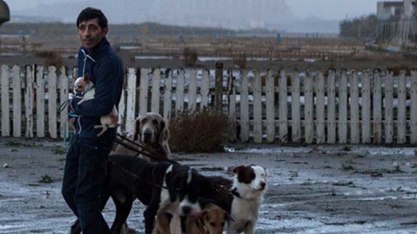 Årets hund er fundet i Cannes