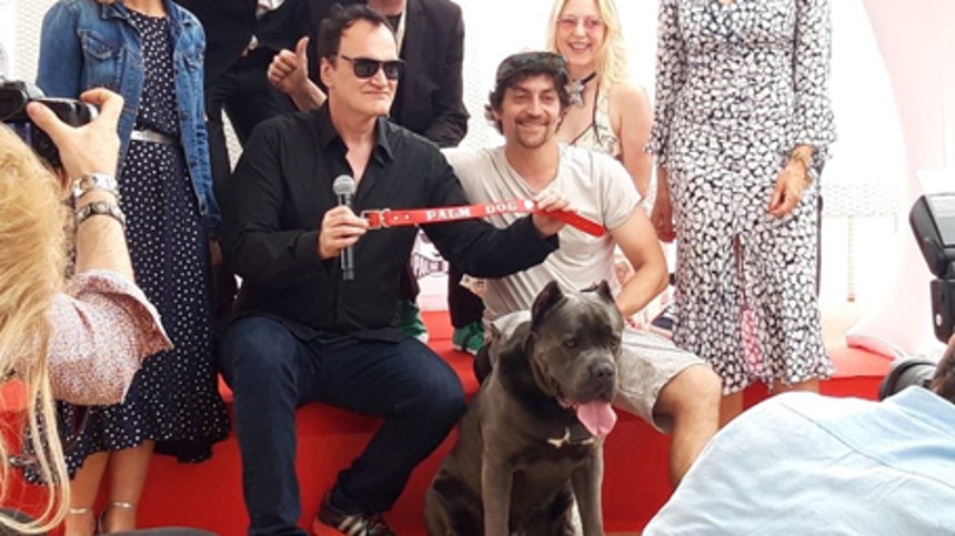 Tarantino vinder hundepris i Cannes