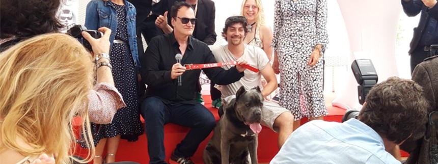 Tarantino vinder hundepris i Cannes