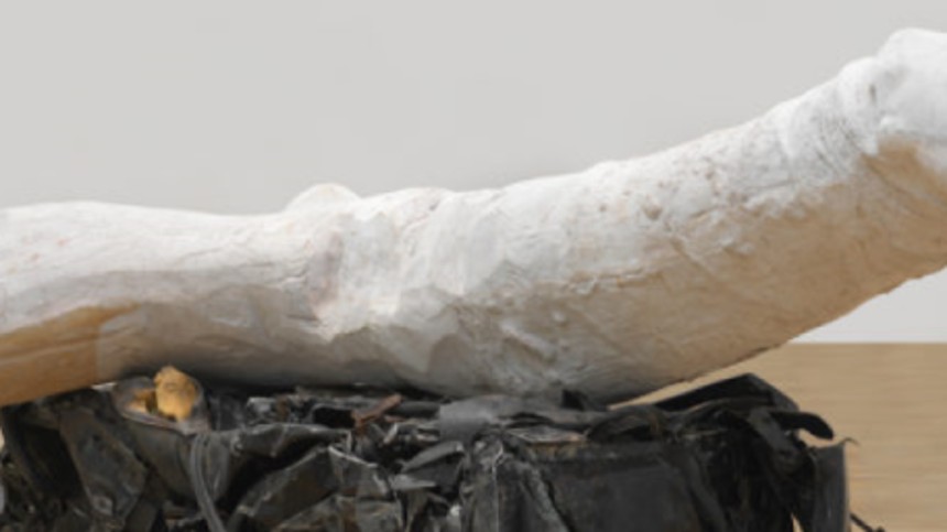 50 år med pornografisk kunst