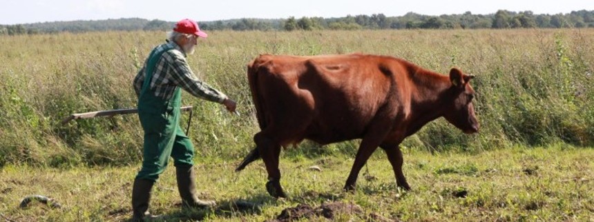 Dokumentarhelt dømt for dy­re­mis­hand­ling