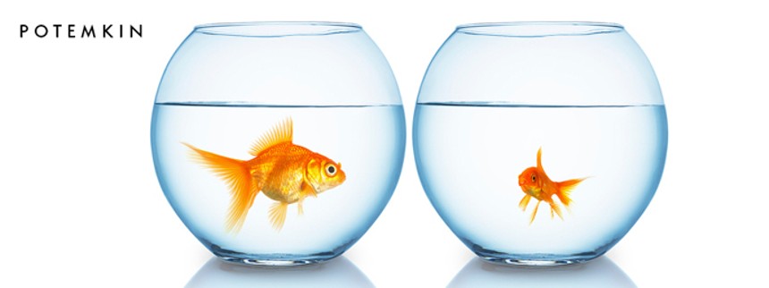 Elever laver film på afstand