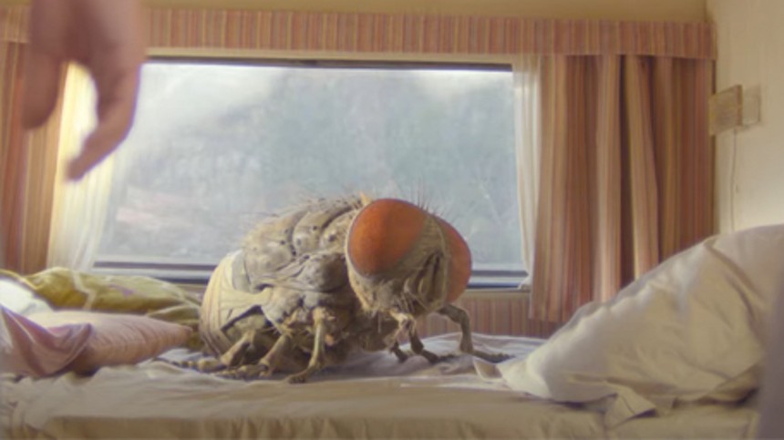 Monsterfluen og coronafilmene