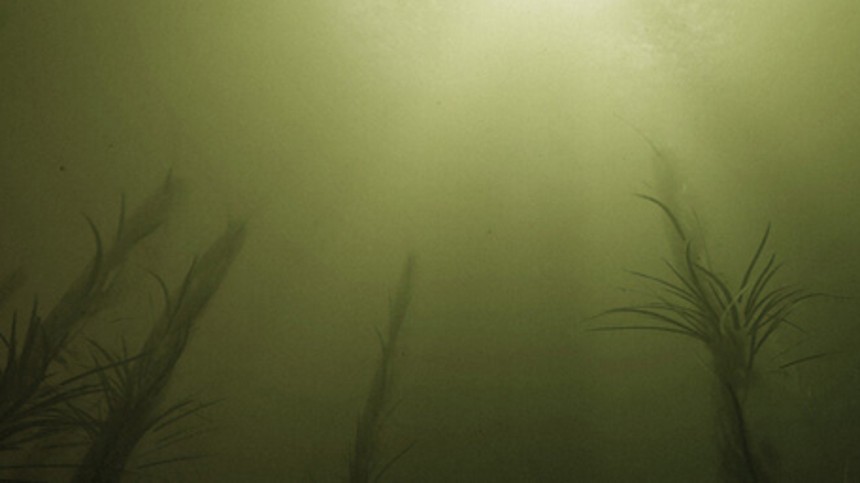 Opslugt af et virtuelt hav