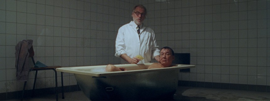 ”Pingvinerne var ligeglade med min kunstfilm”