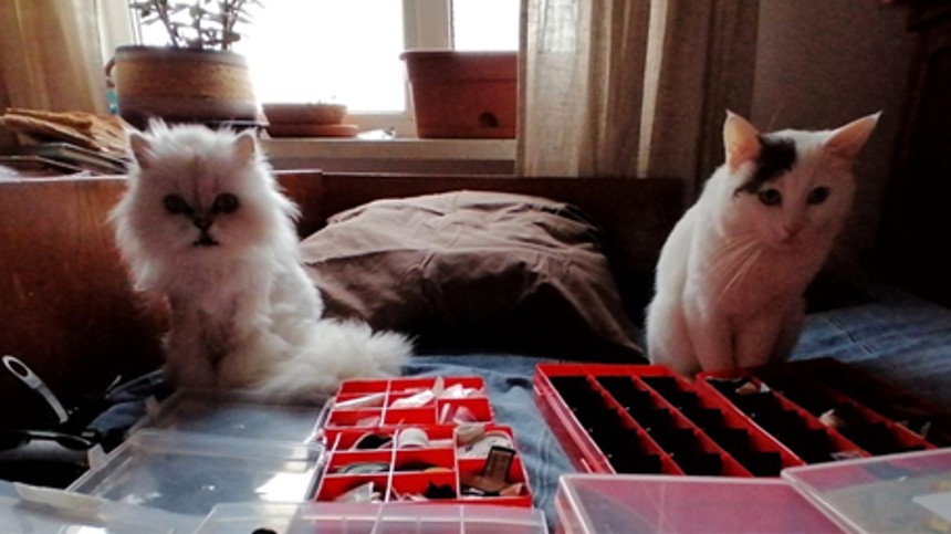 På op­da­gel­ses­rej­se i corona-helvede