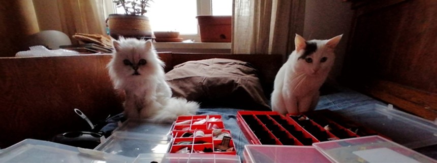 På op­da­gel­ses­rej­se i corona-helvede