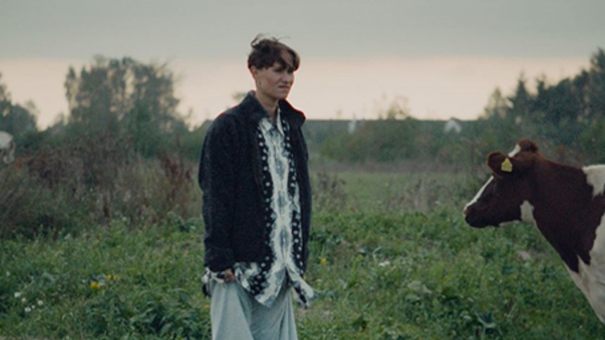 Kvinderne dominerer Bodil-priserne