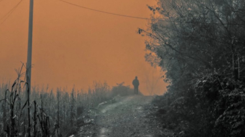 Kinesisk og grønlandsk film vinder Cph:Dox