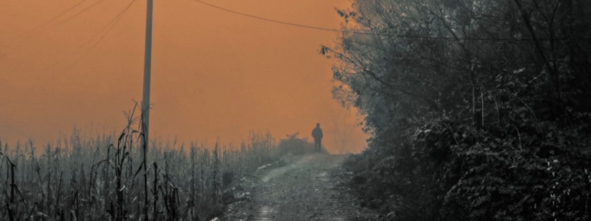 Kinesisk og grønlandsk film vinder Cph:Dox
