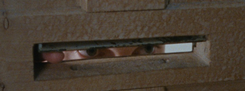 Det skal du gå efter i Odense