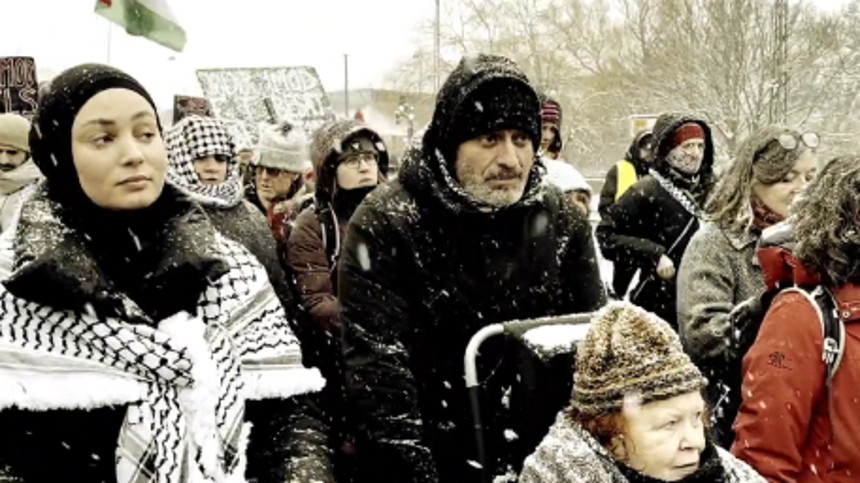 Den uønskede palæstinenser