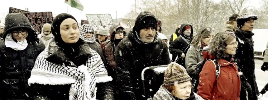 Den uønskede palæstinenser