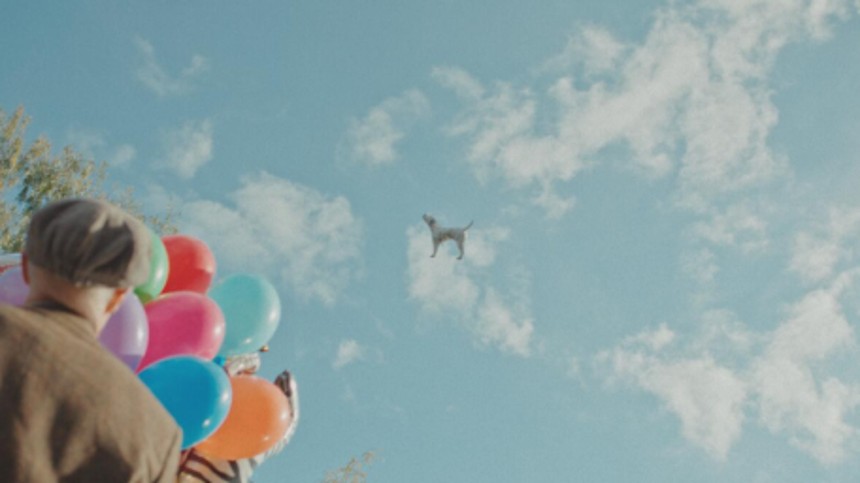 Når kameraet siger vov