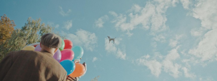 Når kameraet siger vov