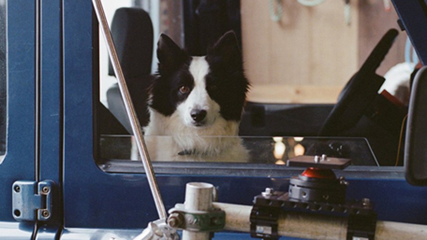 Palme til Palmásons Panda