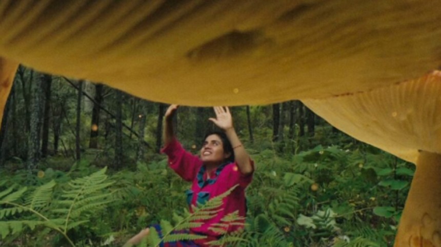 Kritikerpanel finder det bedste på Cph:Dox