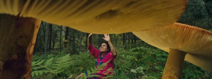 Kritikerpanel finder det bedste på Cph:Dox