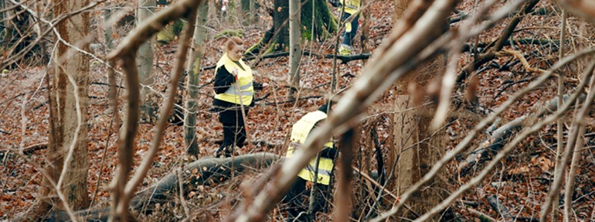 DR sætter troværdigheden over styr