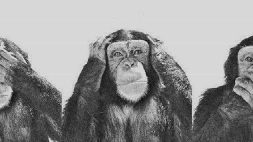 Tre nomineringer gør ingen sommer