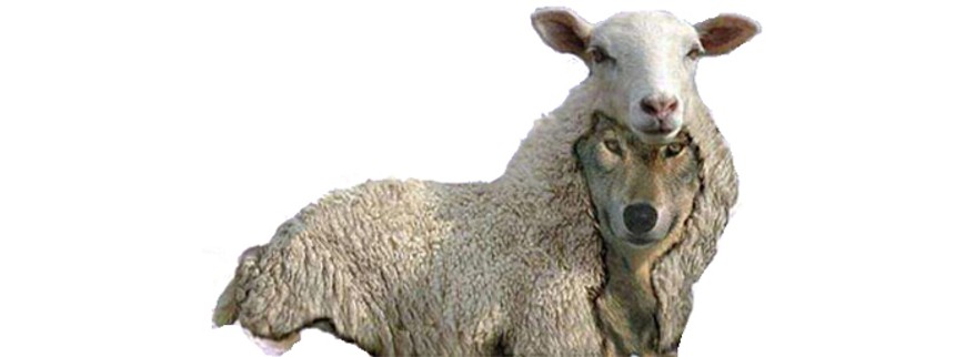 Salg af TV 2 en ny Dong-skandale?