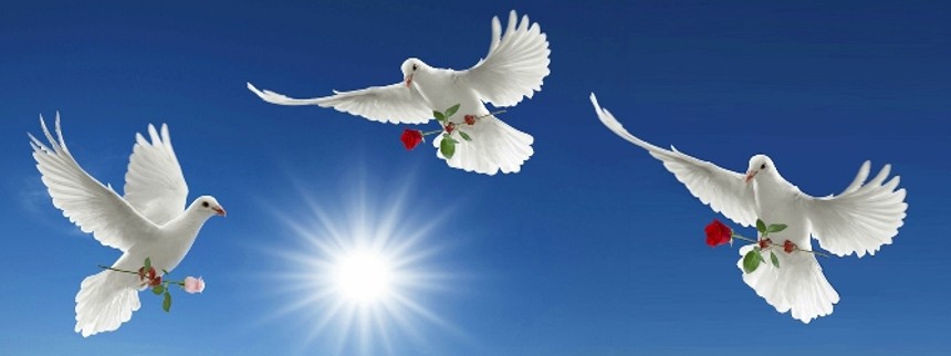 Freden har sænket sig over filmbranchen