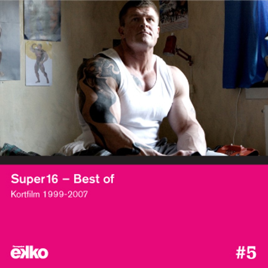 DVD #5 (nov.-dec. 2007)