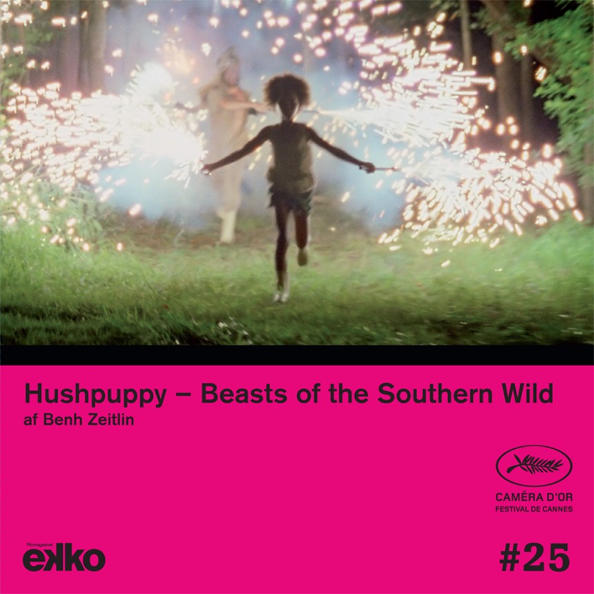 DVD #25 (jun.-aug. 2013)