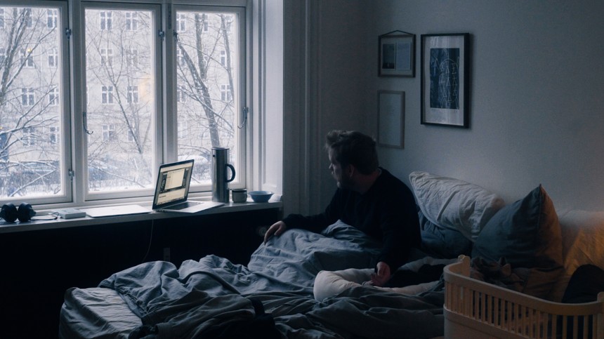 Wild Wounded Animals