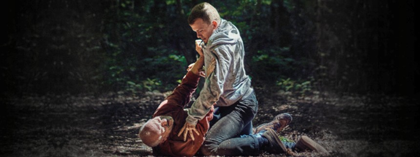 18 Frames, årgang 4: midtvejsfilm