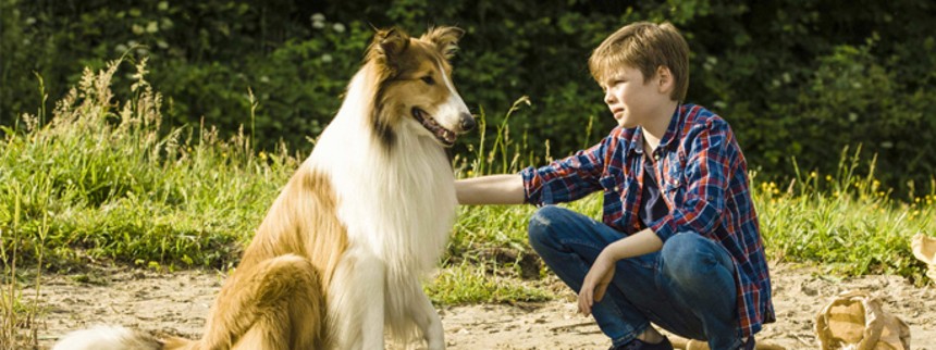 Lassie kommer hjem
