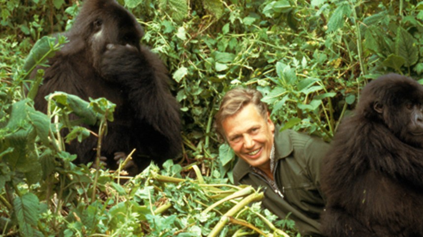David Attenborough: Et liv på vores klode