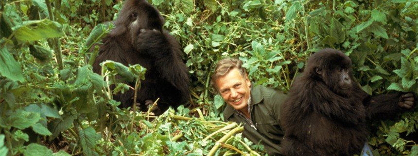 David Attenborough: Et liv på vores klode