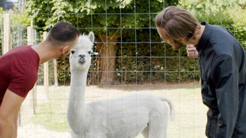 Kænguru­myste­ri­et